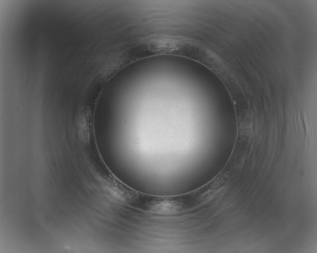 X0000072930460200607211132