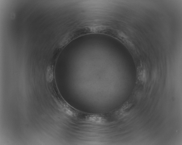X0000072930471200607211132