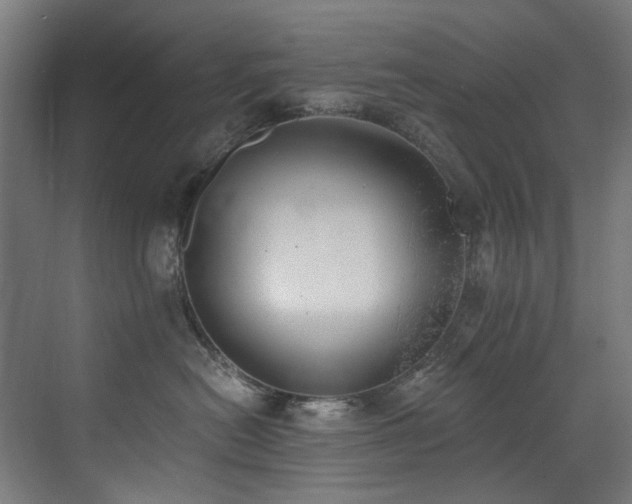 X0000072930478200607211132