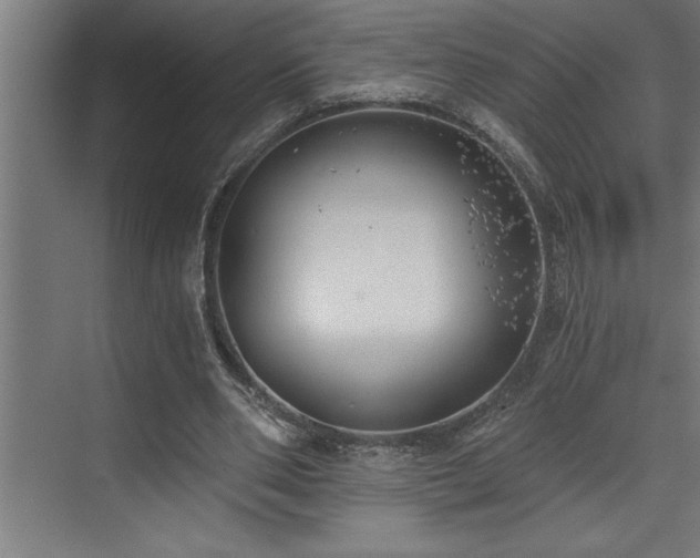 X0000072930486200607211131
