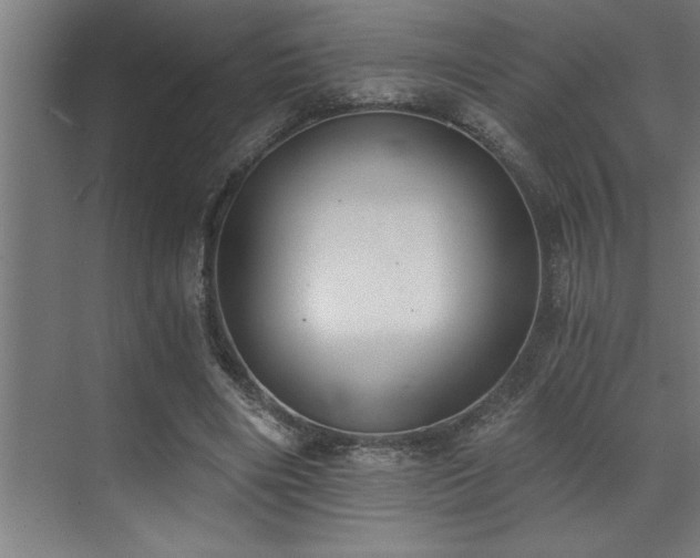 X0000072930490200607211131