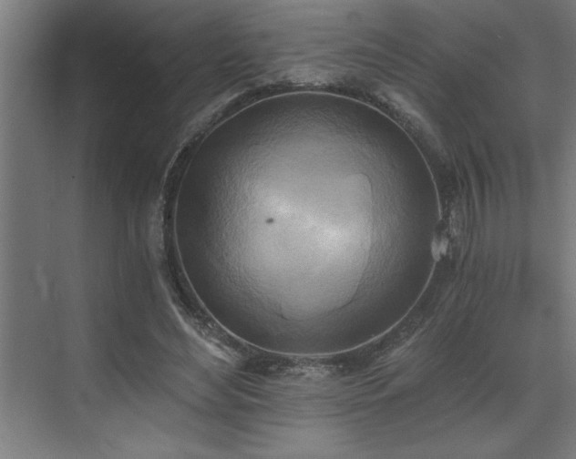 X0000072930492200607211131
