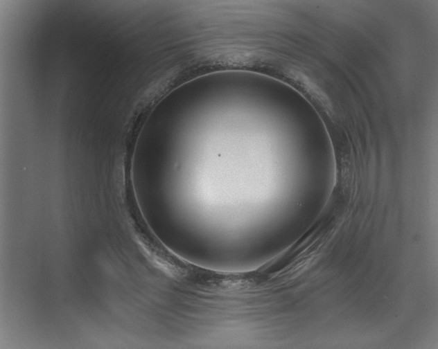 X0000072930493200607211131
