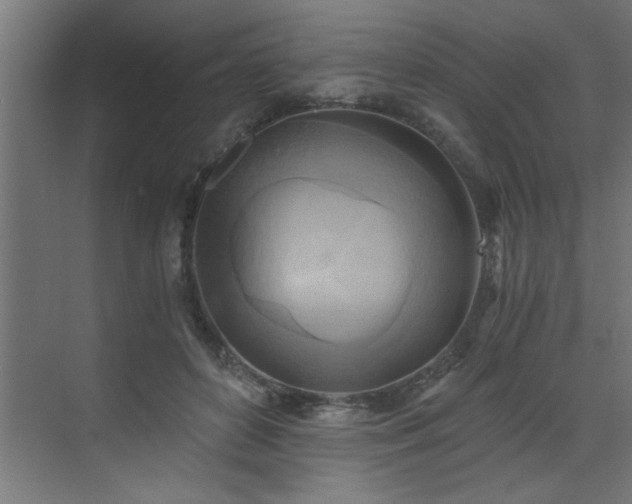X0000072930504200607211131