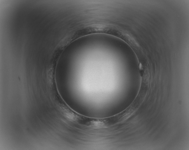 X0000072930509200607211131