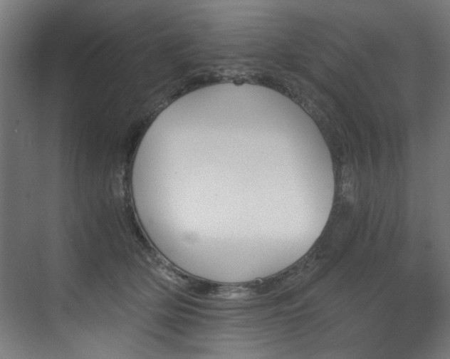 X0000072930514200607211131