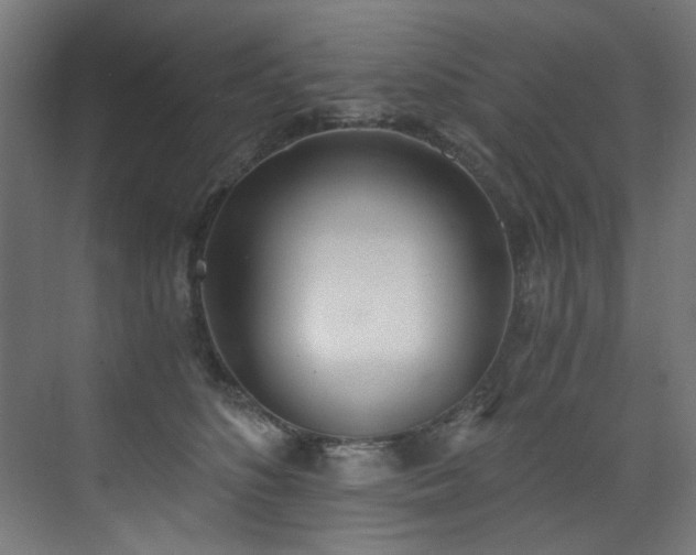 X0000072930516200607211130