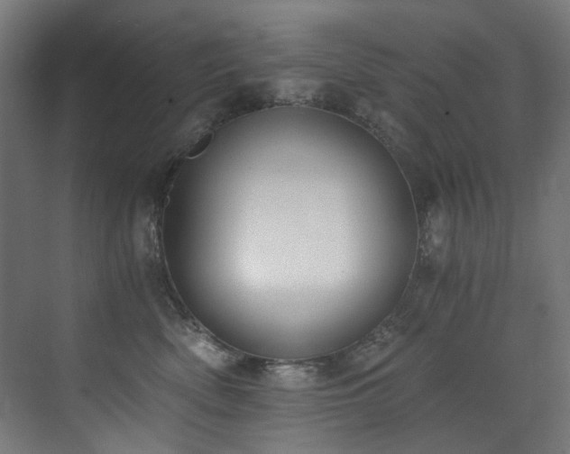 X0000072930522200607211130