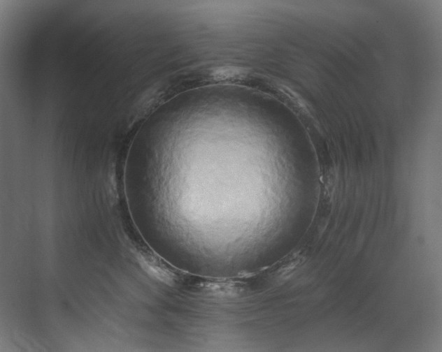 X0000072930524200607211130