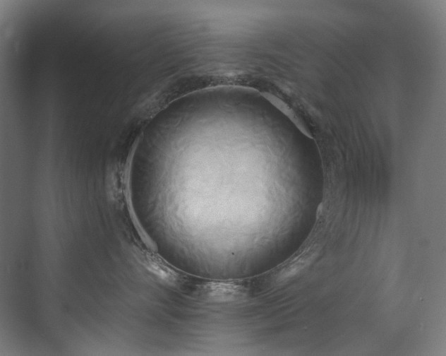 X0000072930528200607211130