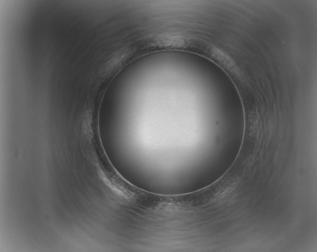 X0000072930538200607211130