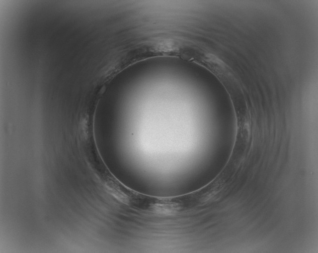 X0000072930556200607211130