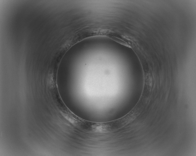 X0000072930564200607211130