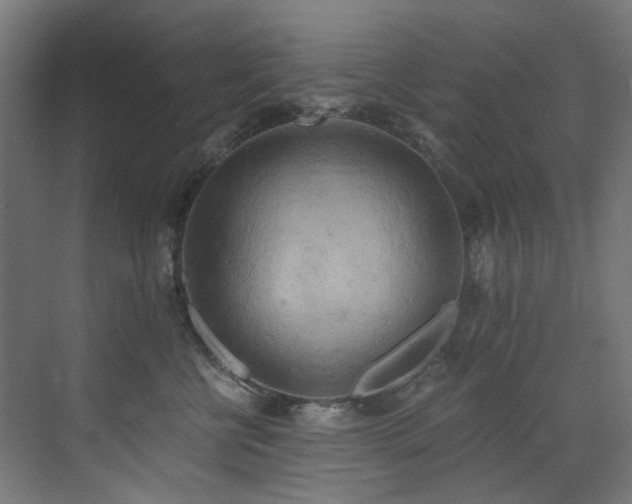 X0000072930570200607211130