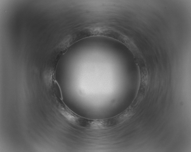 X0000072930574200607211130