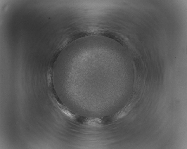 X0000072930576200607211130