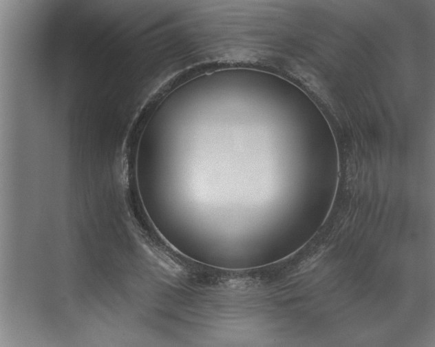 X0000072930584200607211129