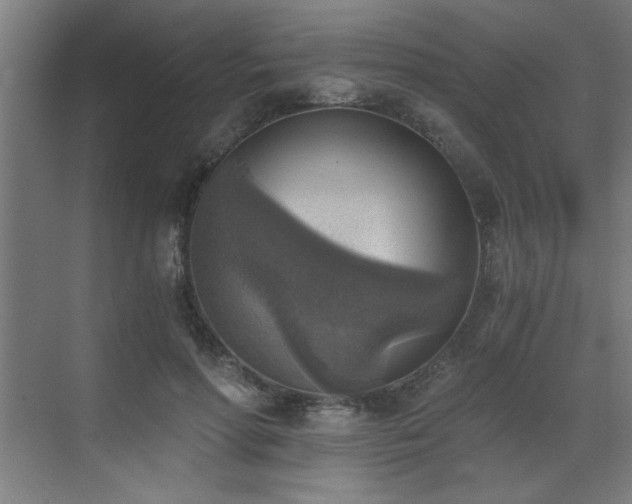 X0000072930598200607211129