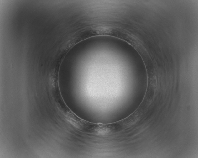 X0000072930604200607211129