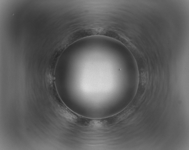 X0000072930613200607211129