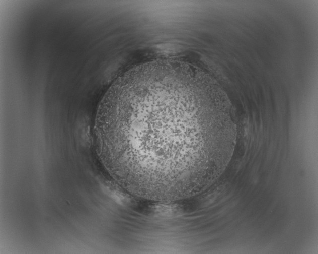 X0000072930615200607211129