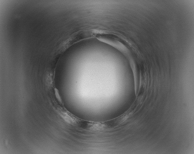 X0000072930621200607211129