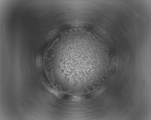 X0000072930623200607211129
