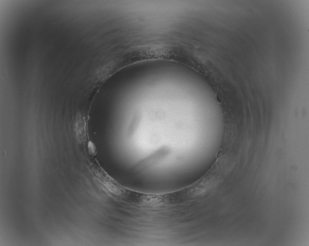 X0000072930624200607211129
