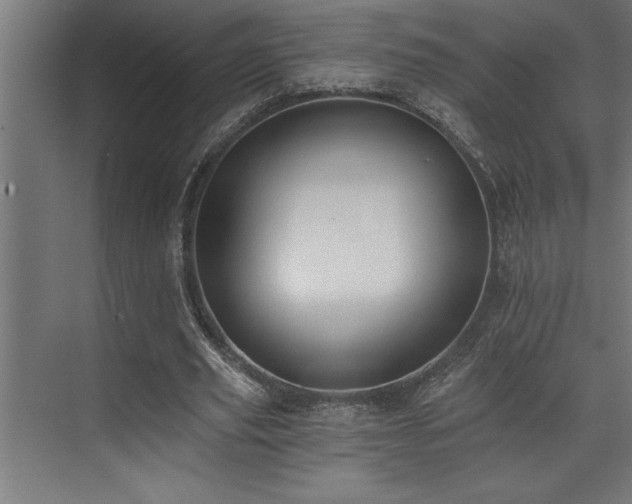 X0000072930629200607211128