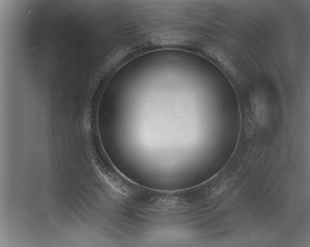 X0000072930631200607211128