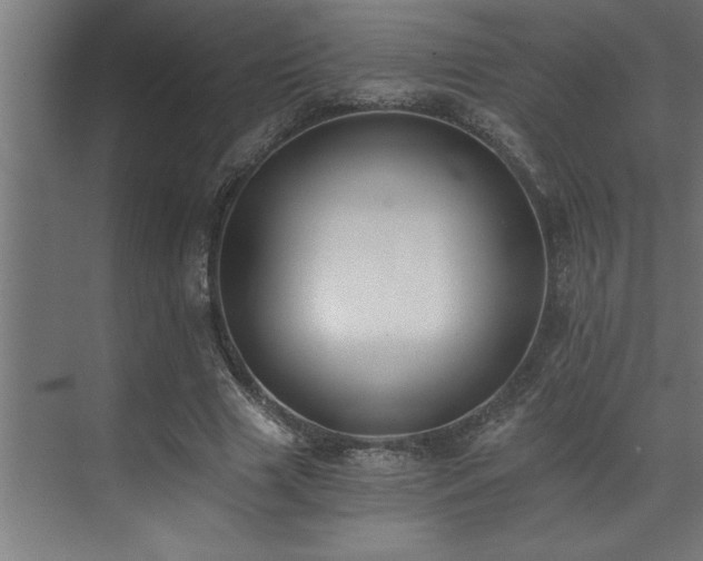 X0000072930633200607211128