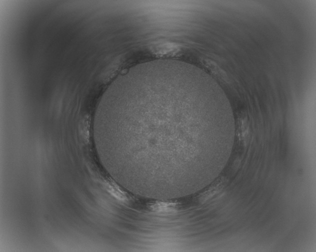 X0000072930664200607211128