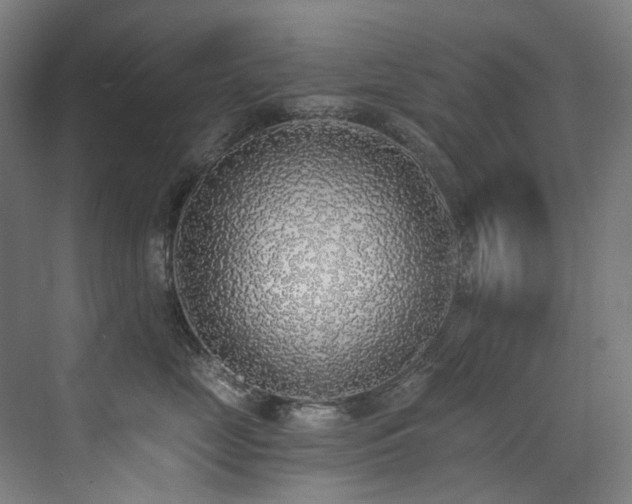 X0000072930669200607211129