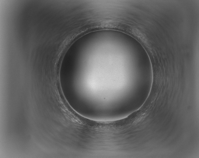 X0000072930673200607211128