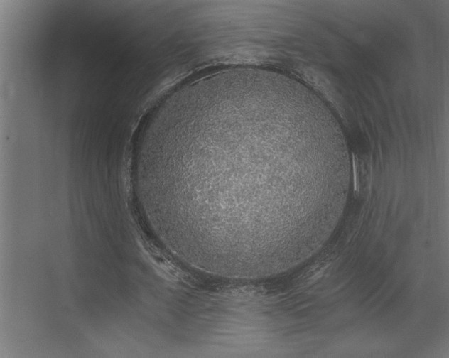 X0000072930675200607211128