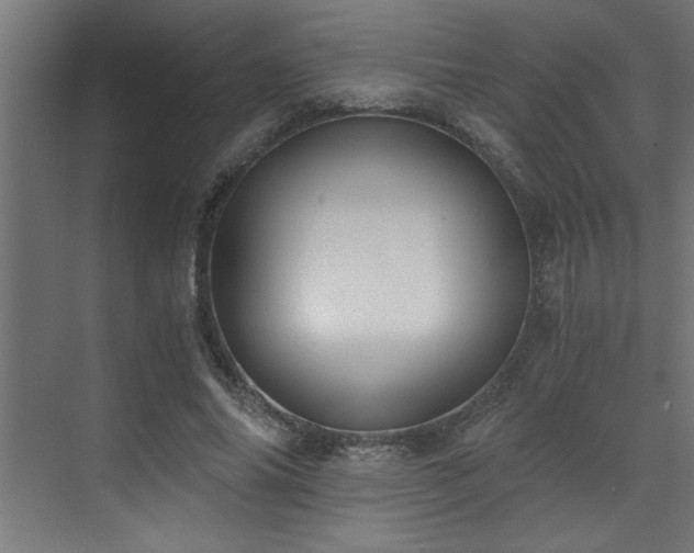 X0000072930686200607211128