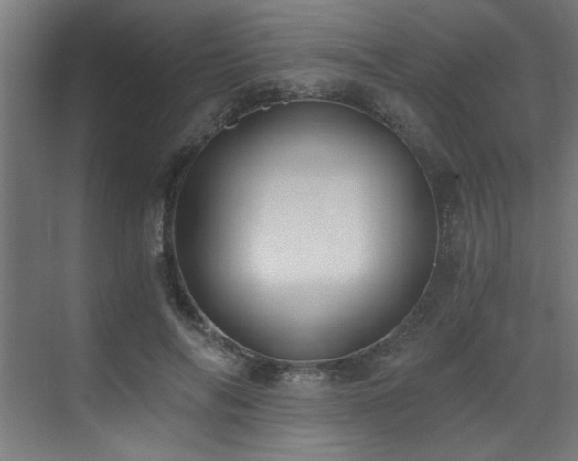 X0000072930694200607211127