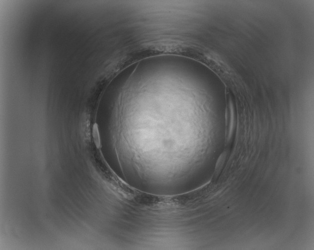 X0000072930696200607211127