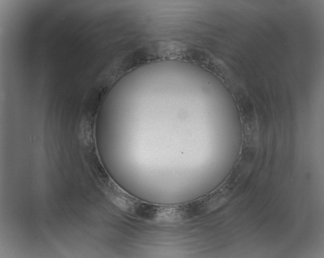 X0000072930705200607211127