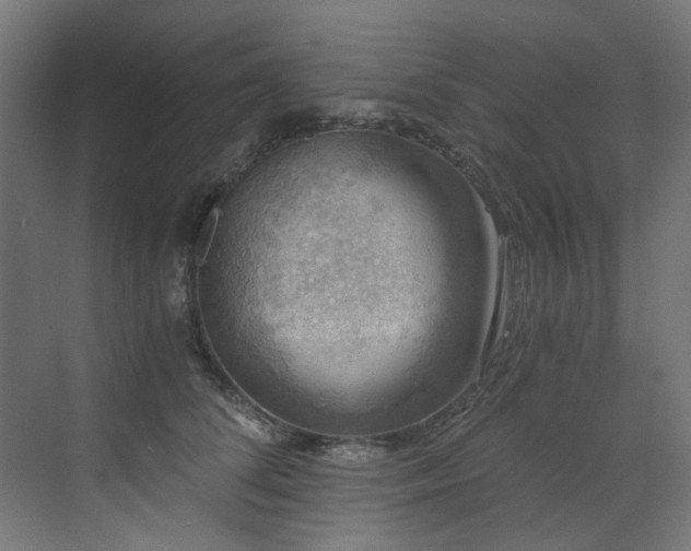 X0000072930708200607211127