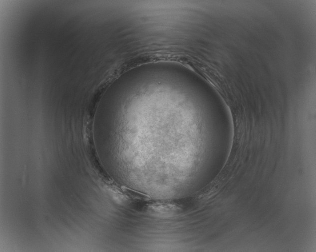 X0000072930712200607211127