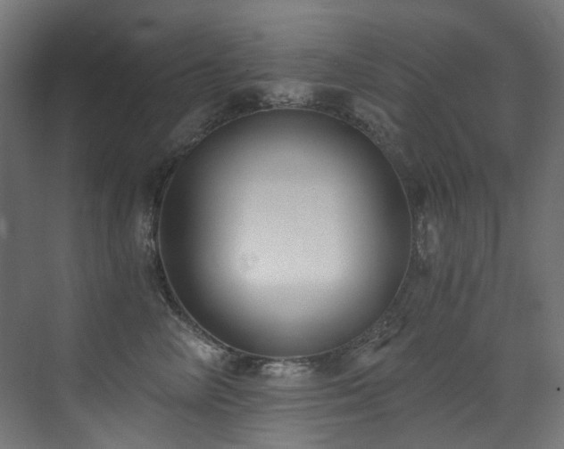 X0000072930714200607211127