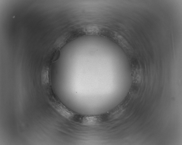 X0000072930717200607211127