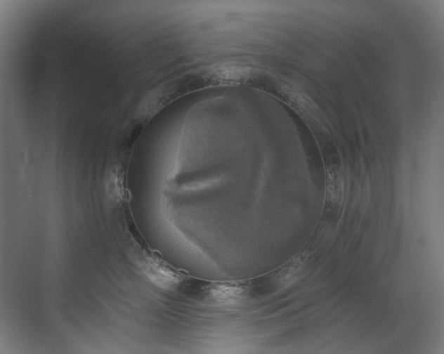 X0000072930718200607211127