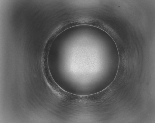 X0000072930730200607211126