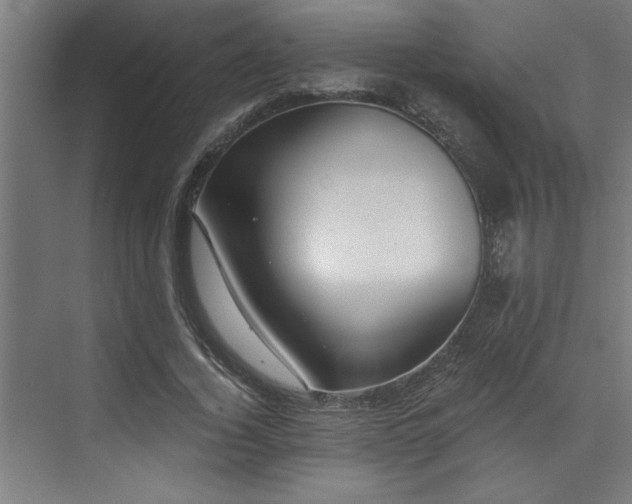 X0000072930732200607211126