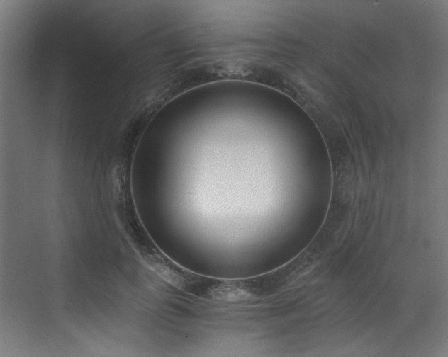 X0000072930747200607211127