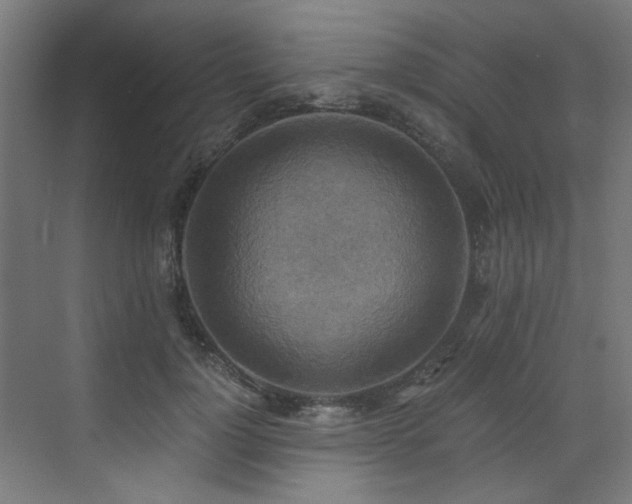X0000072930748200607211127