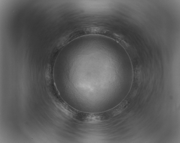 X0000072930760200607211127