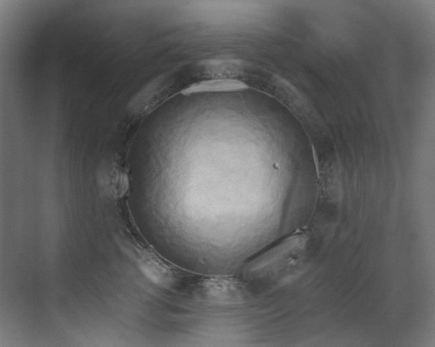 X0000072930762200607211127